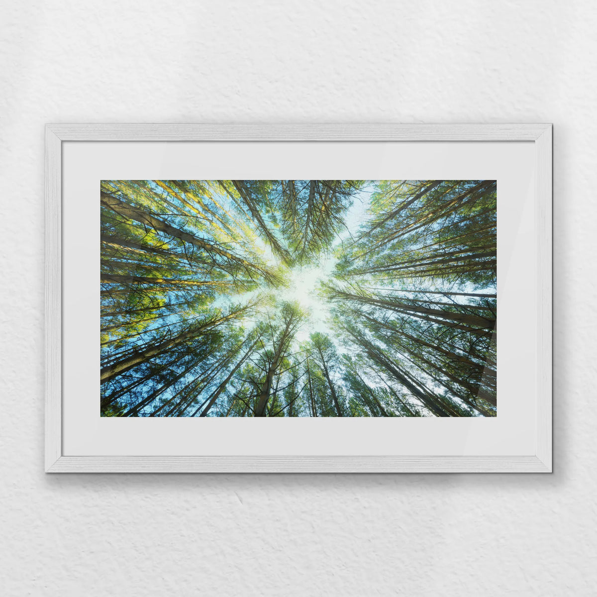PWP060W040