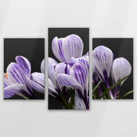 LW-150T100