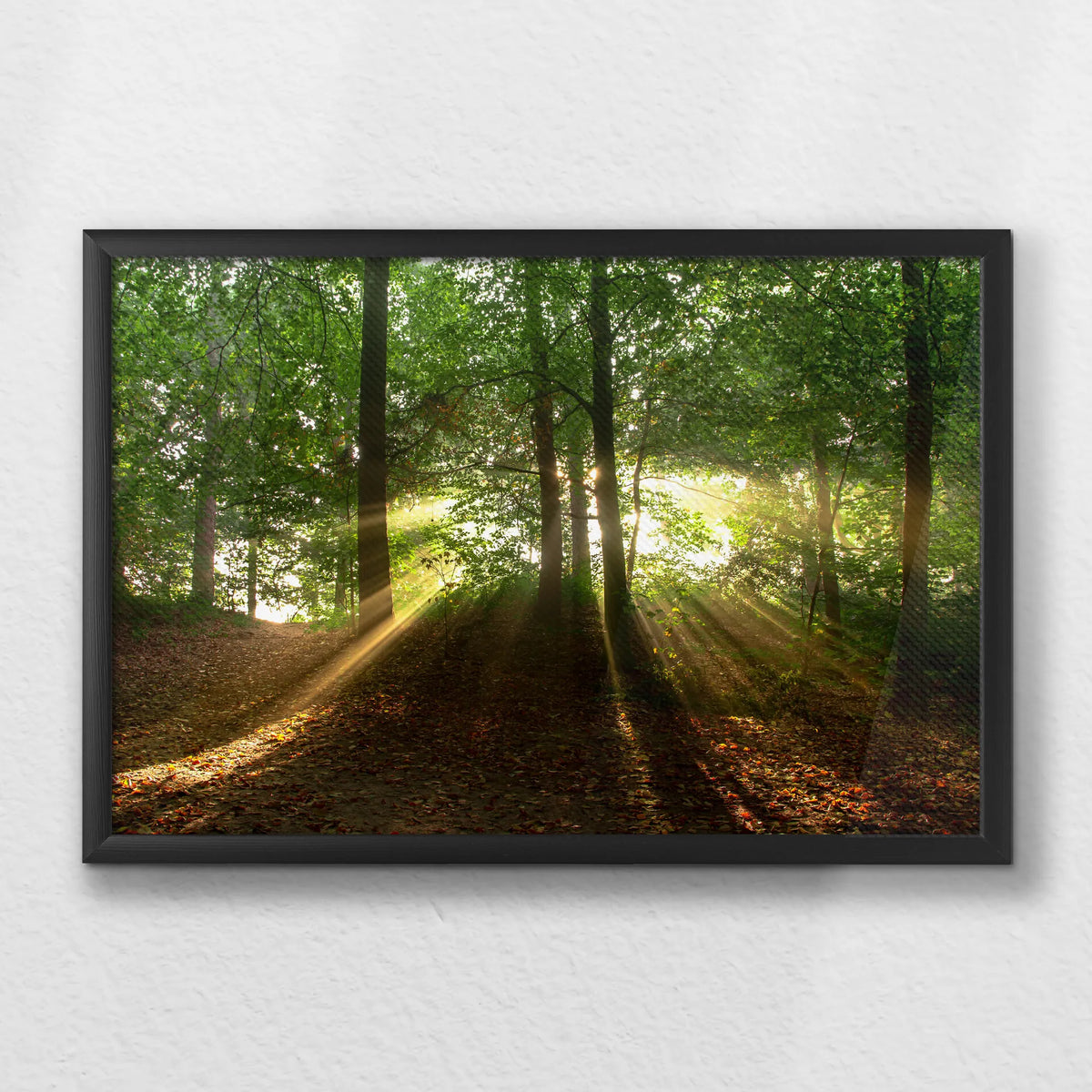 LWB060W040