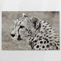 AC-090W060