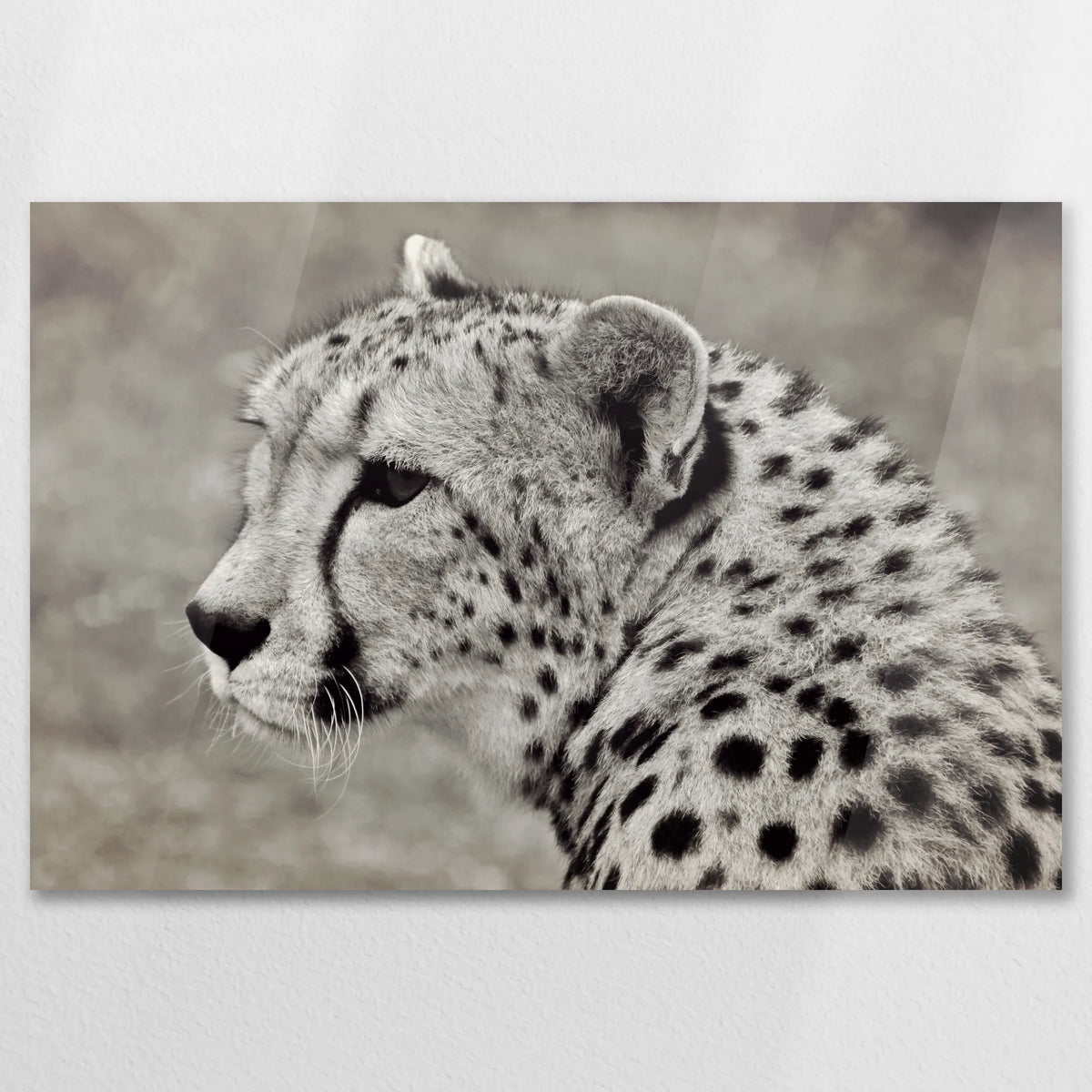 AC-090W060