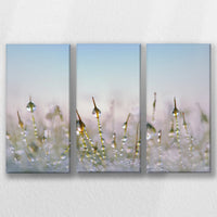 LW-060R040