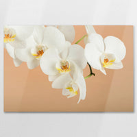 AL-075W050