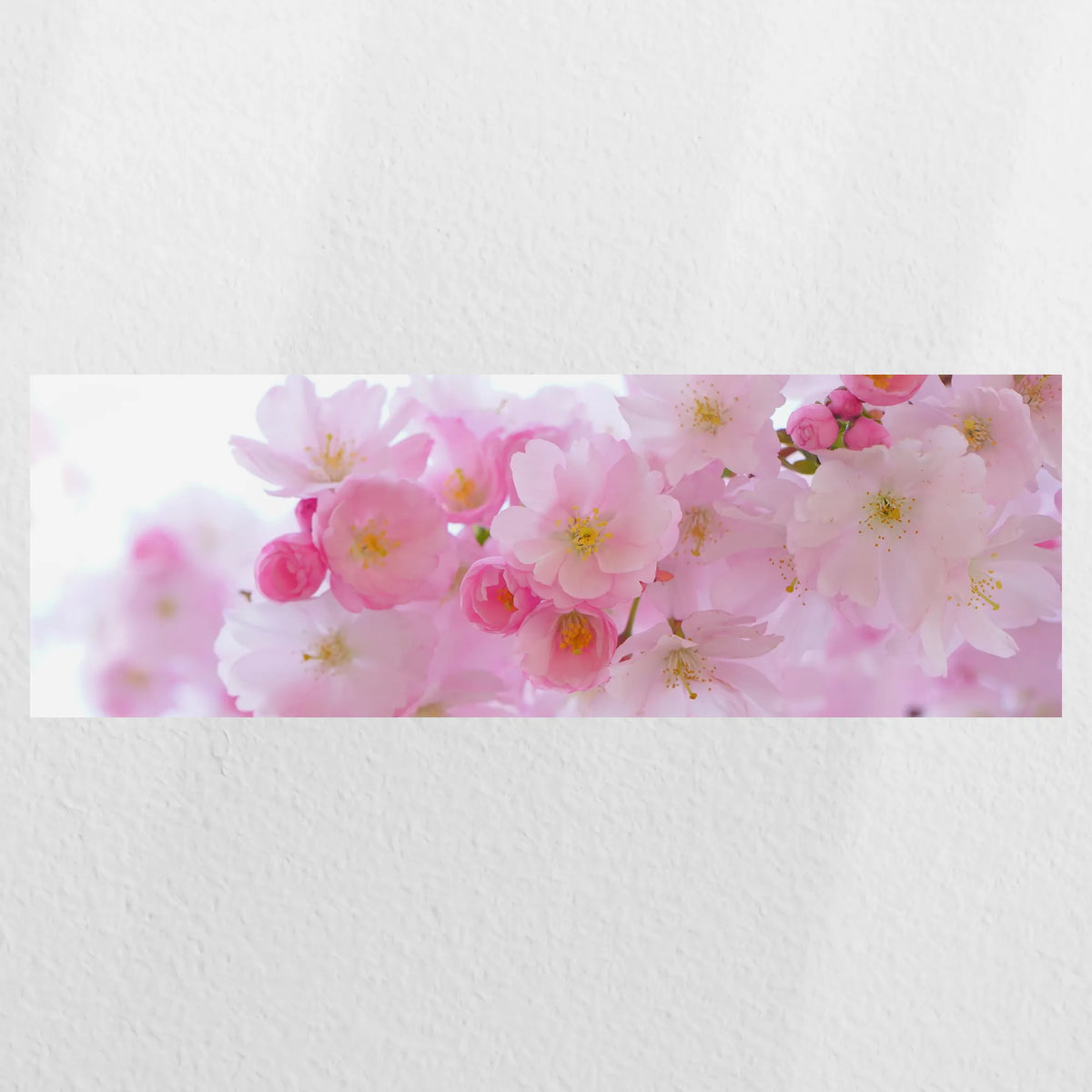 PO-060P020