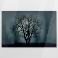 AC-075W050