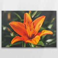 LW-090W060