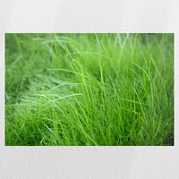 PO-030W020