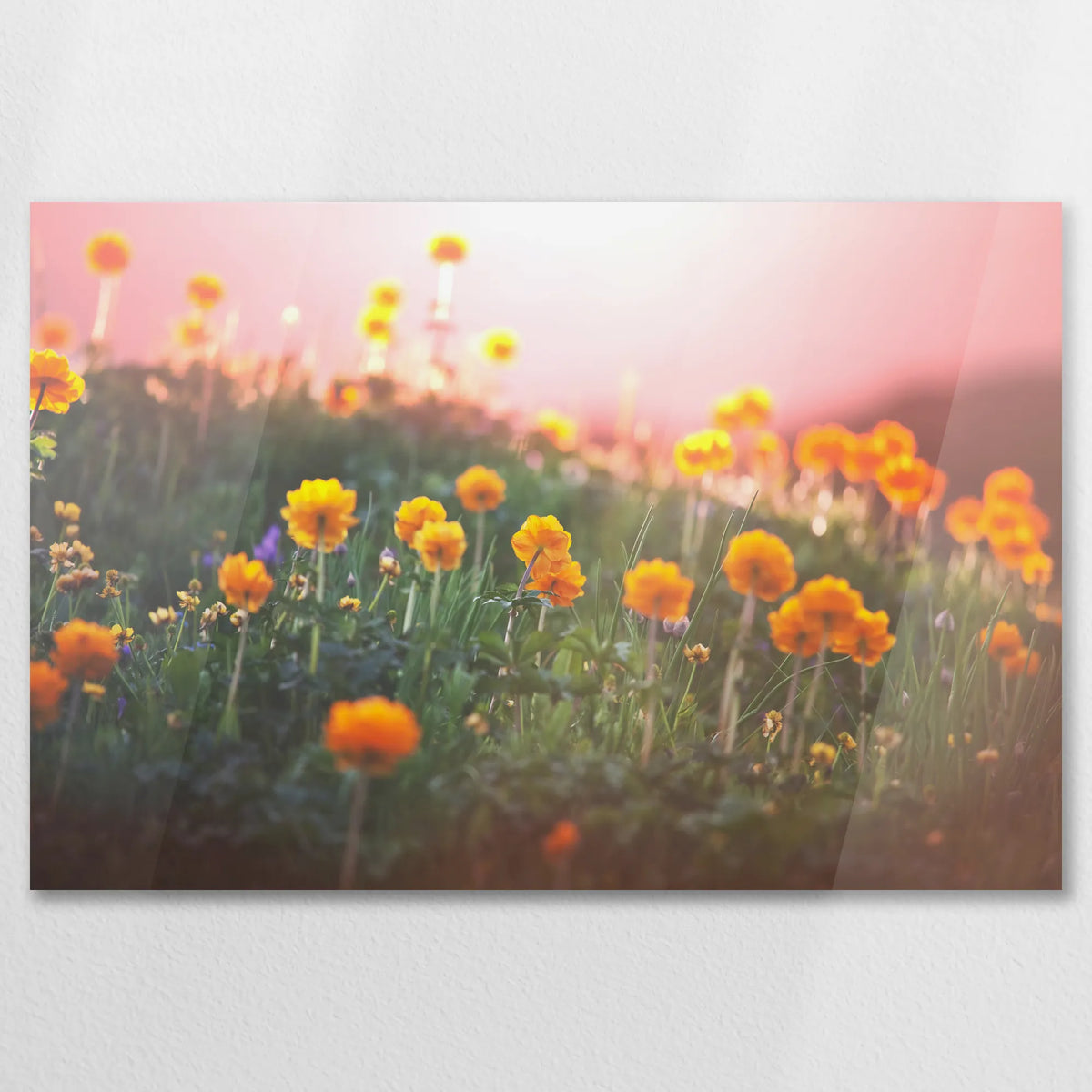 AC-075W050