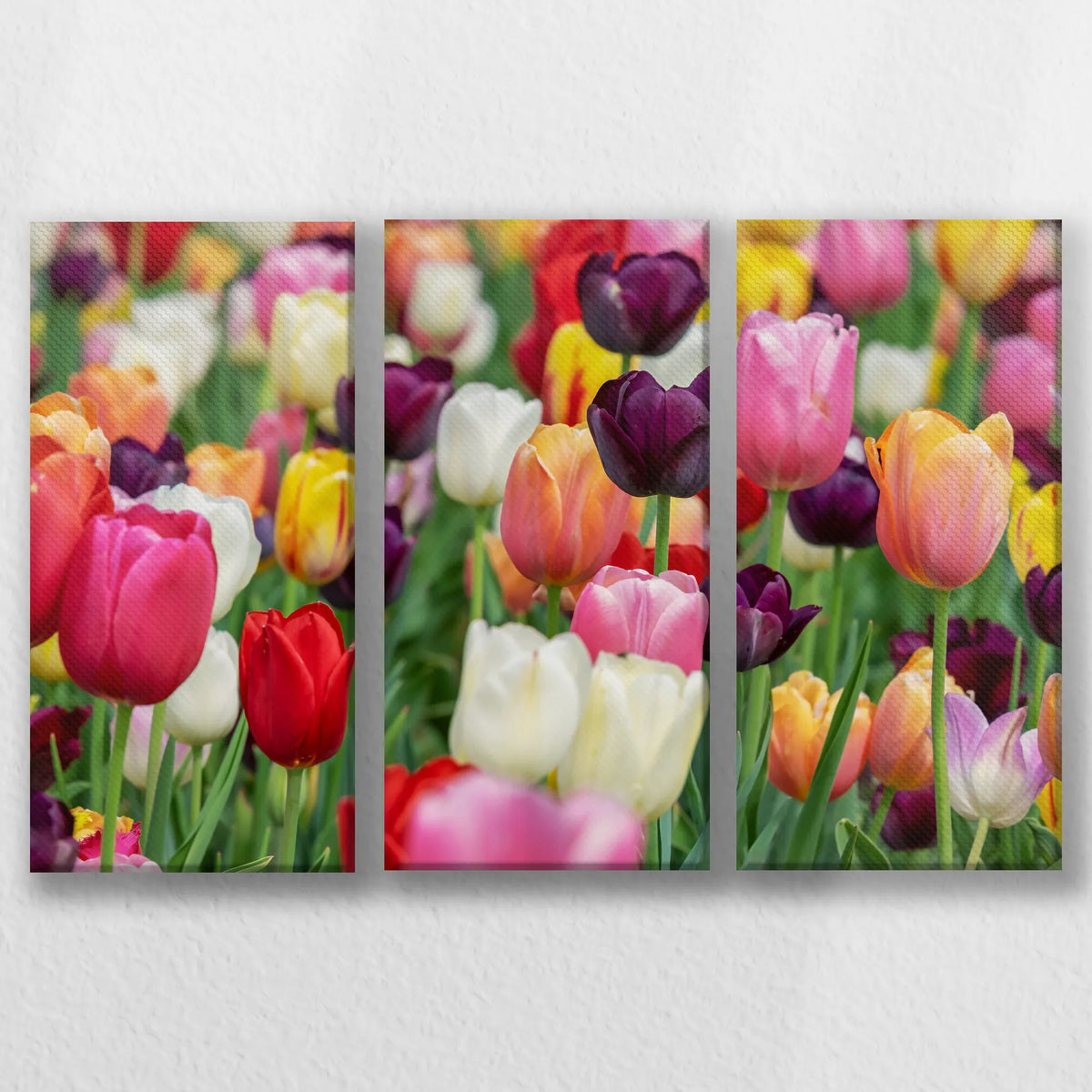 LW-060R040