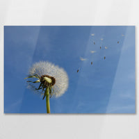 AL-075W050