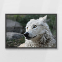 PK-093W062