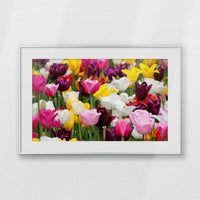 PSP093W062