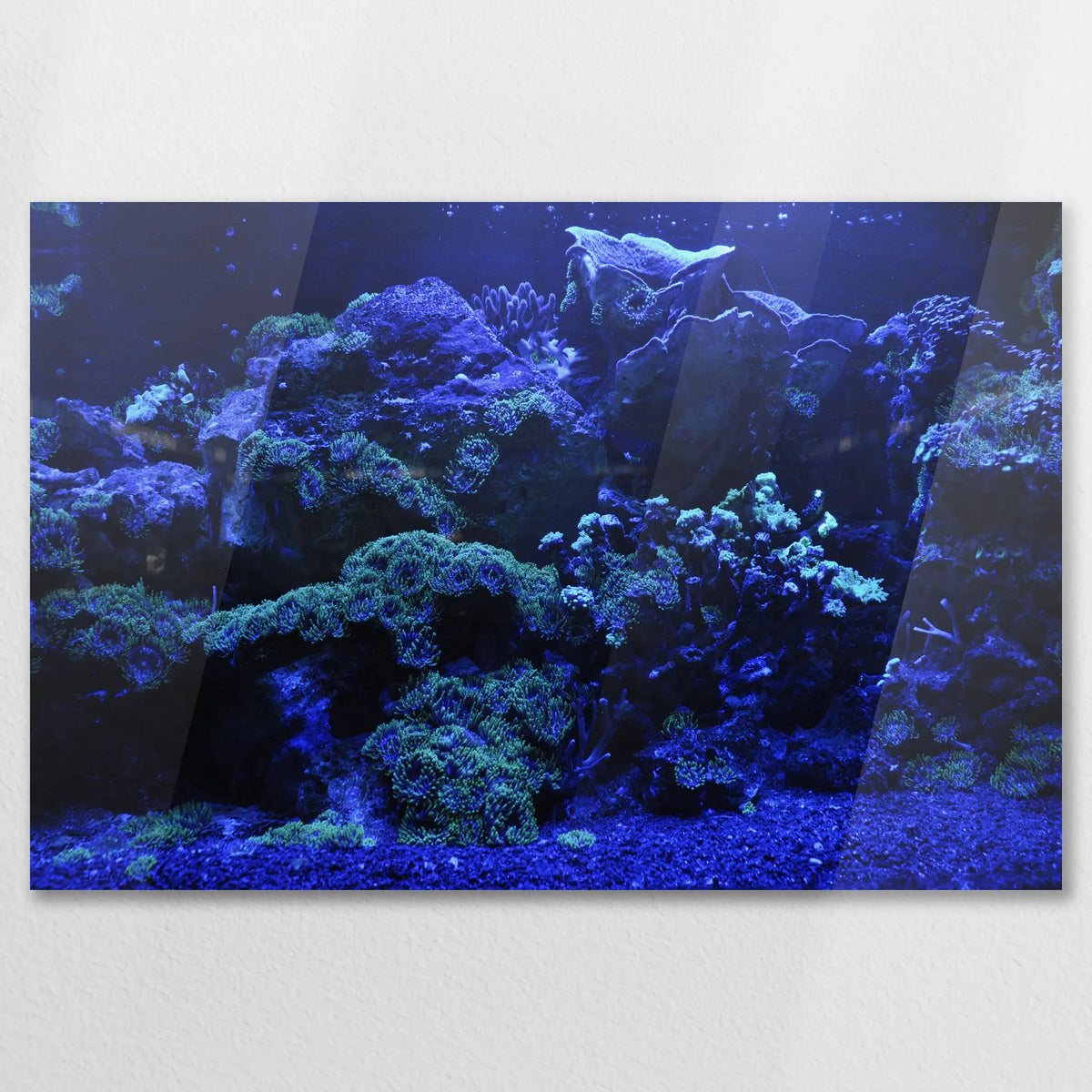 AC-075W050