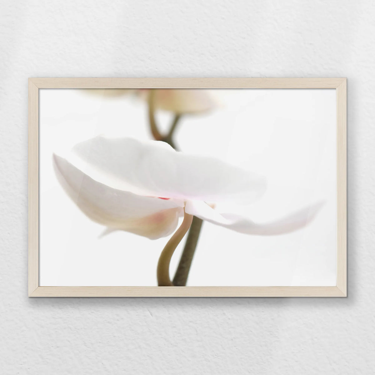 PN-060W040
