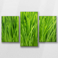 LW-060T040