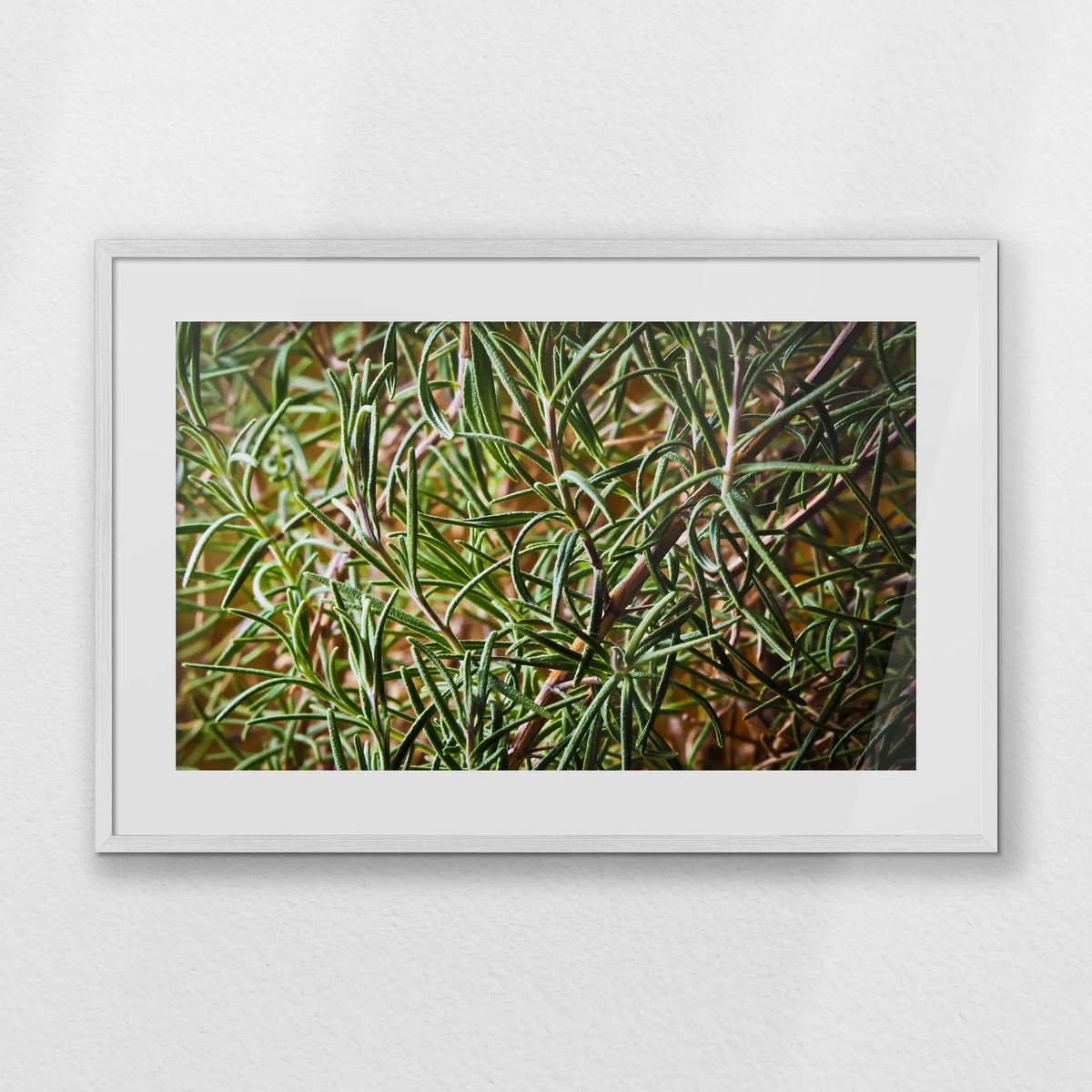 PWP093W062
