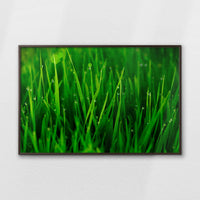LWN120W080