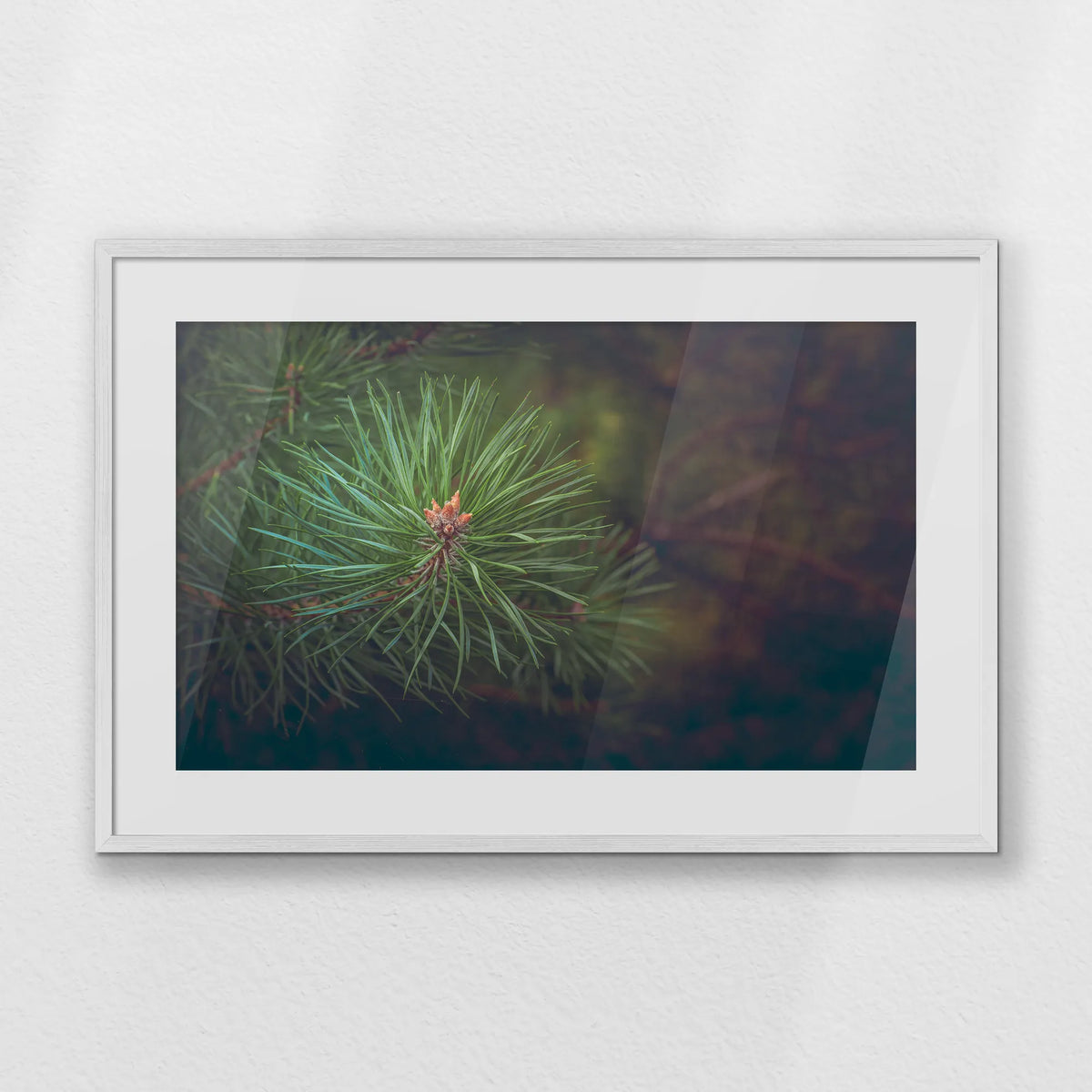 PWP093W062
