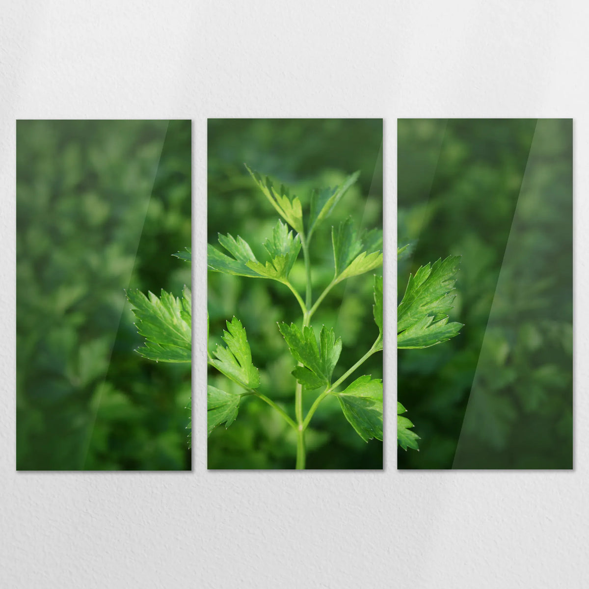 AC-180R120