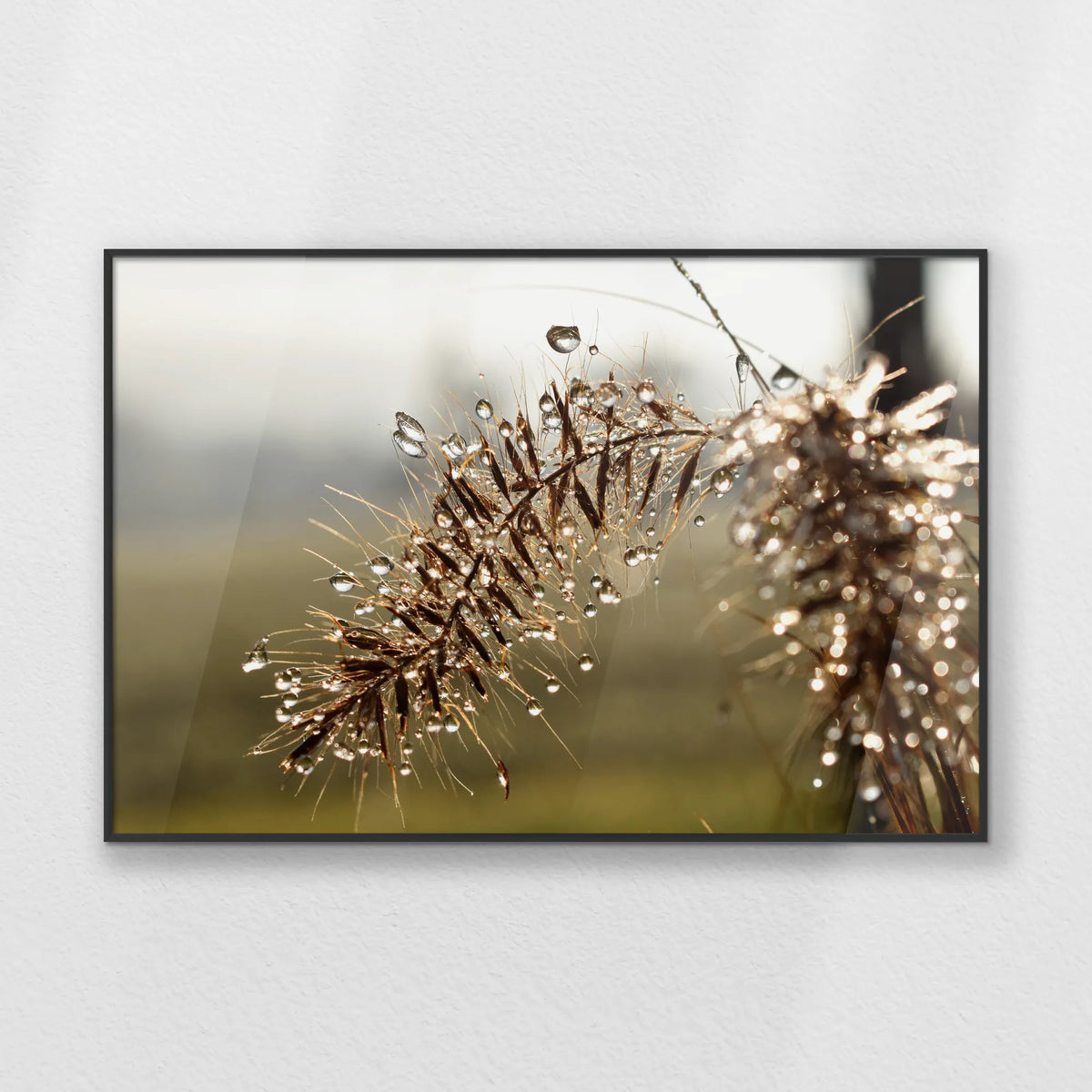 PB-093W062