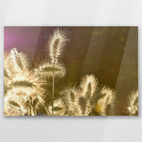 AC-060W040