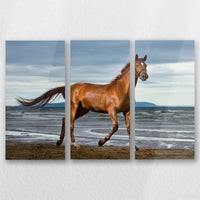 AL-060R040
