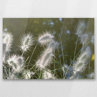 AC-030W020