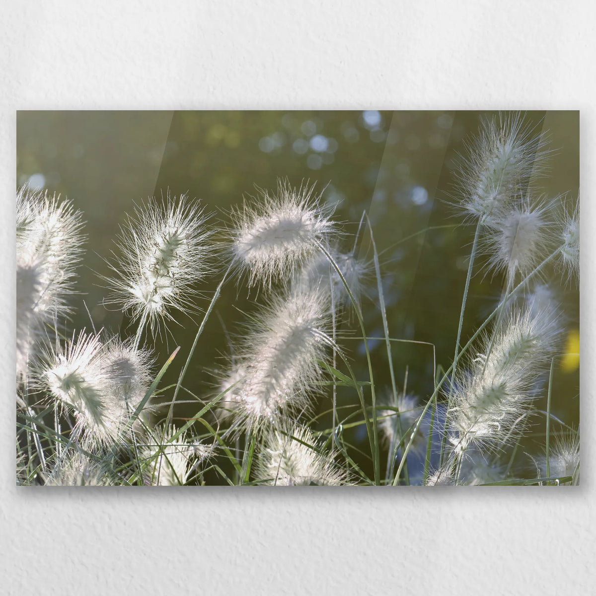 AC-030W020