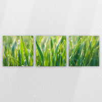 LW-180S060