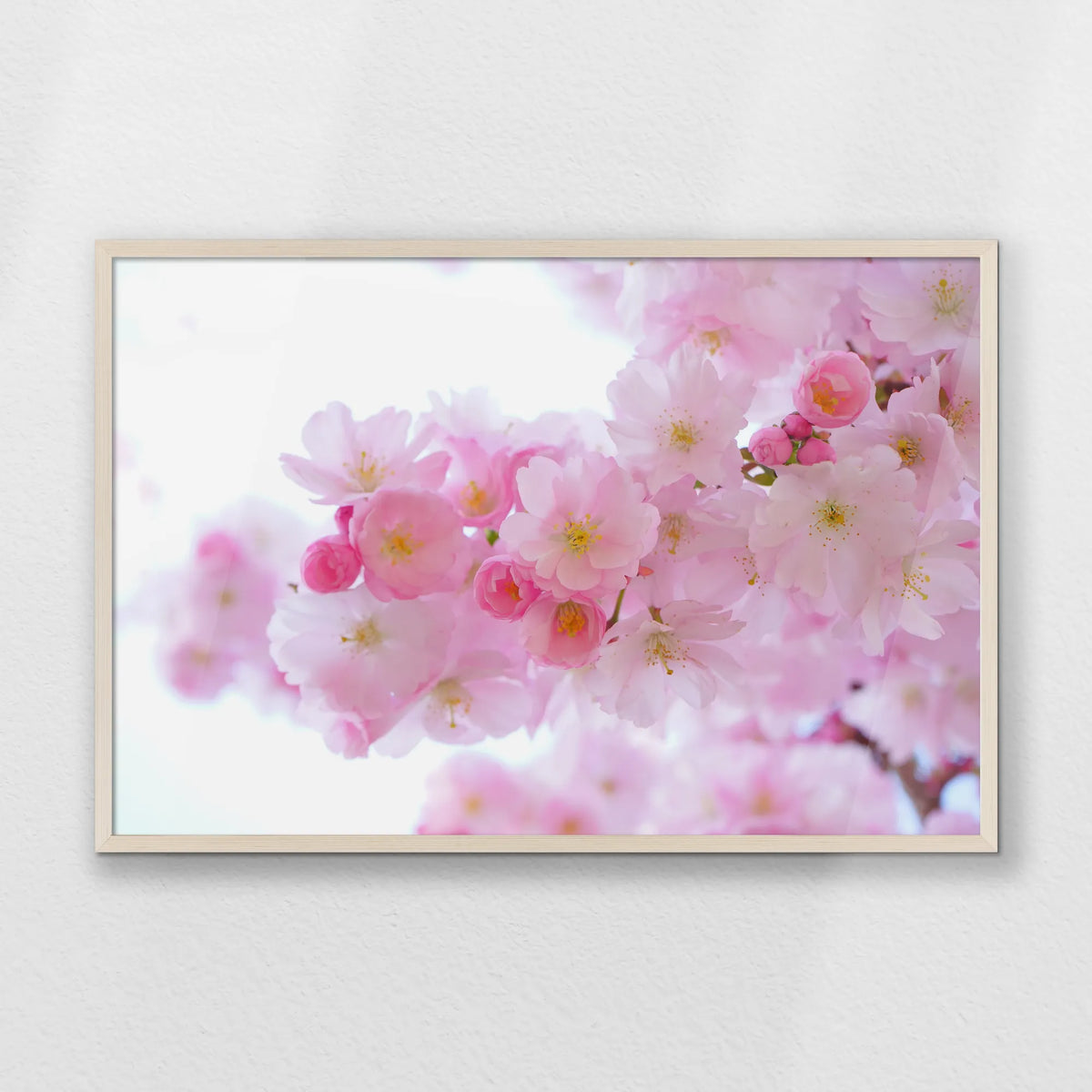 PN-093W062