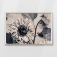 PN-093W062