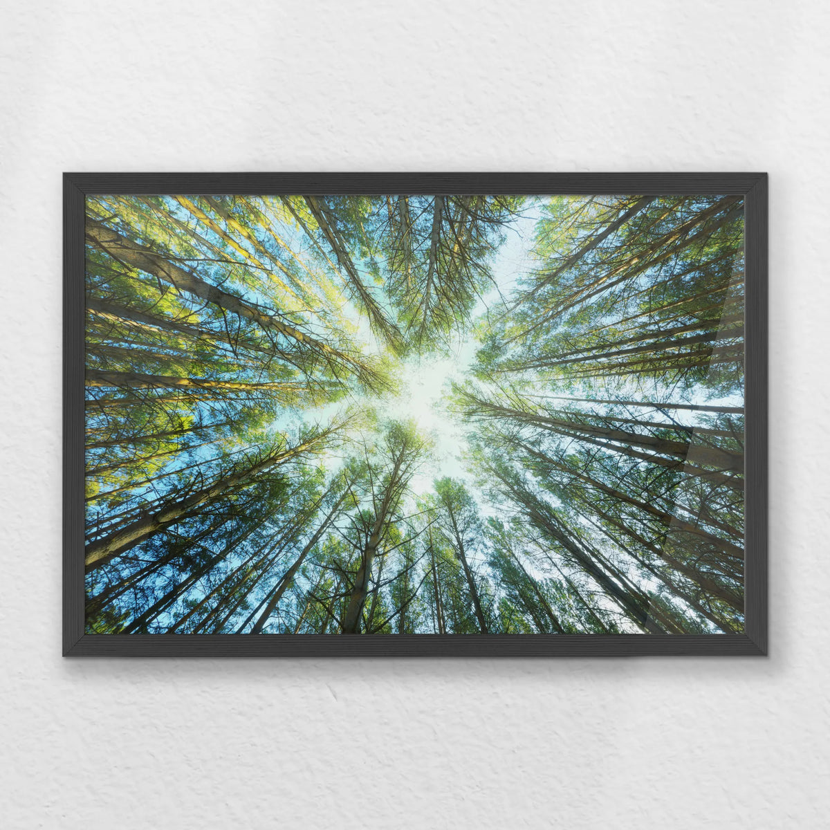 PK-060W040