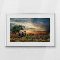 PSP060W040