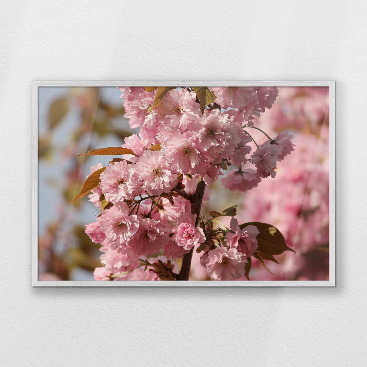 PW-093W062