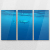 AL-060R040
