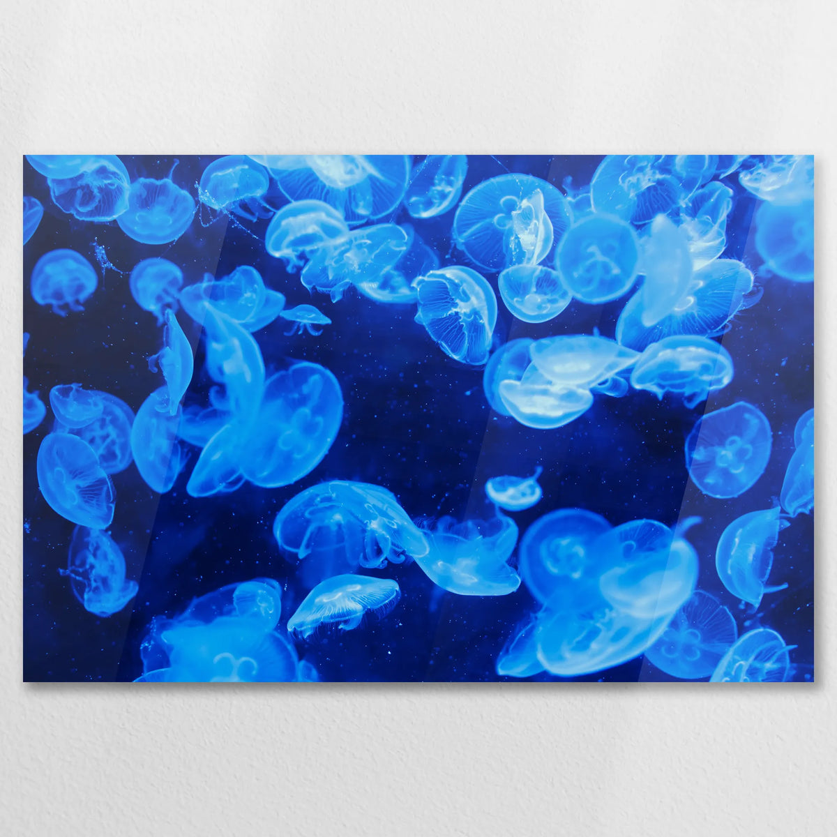AC-075W050