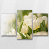 LW-090T060