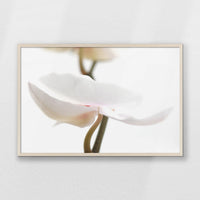 PN-093W062