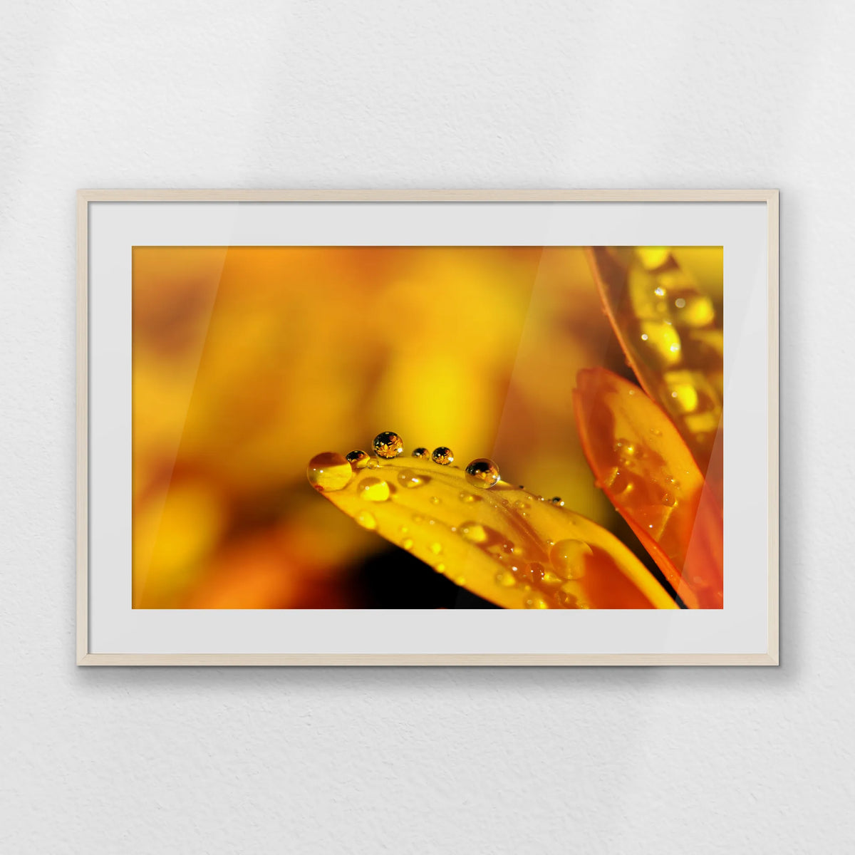PNP100W070