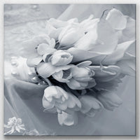 LW-060W060