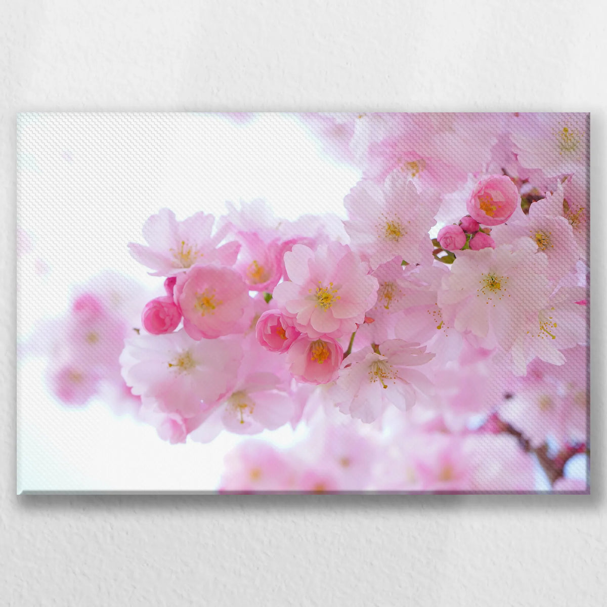 LW-045W030