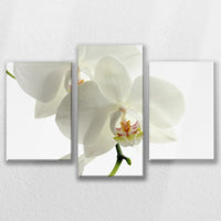 LW-090T060