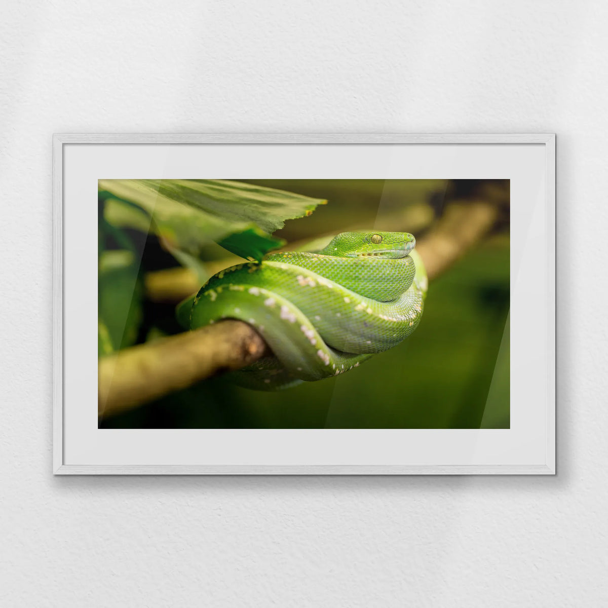 PWP093W062