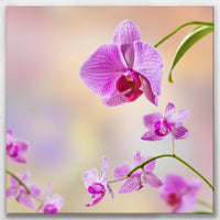 LW-070W070