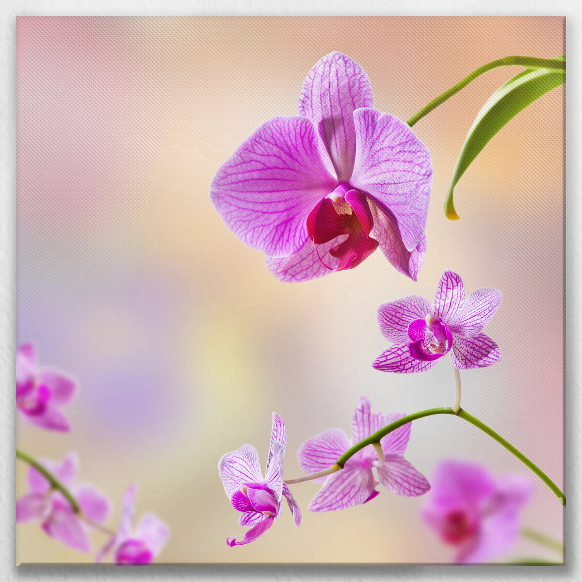 LW-070W070