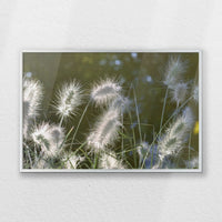 PS-060W040
