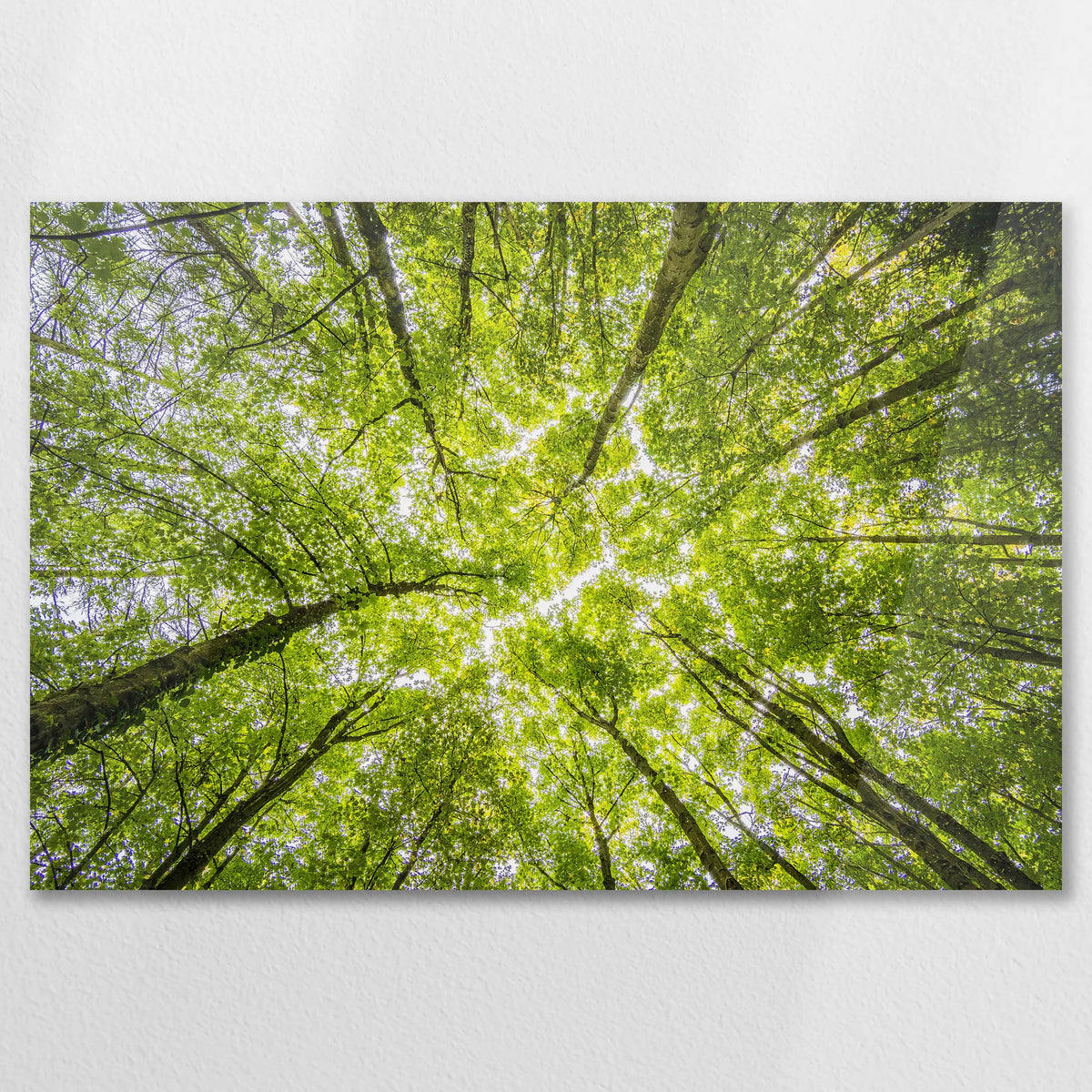 AC-090W060