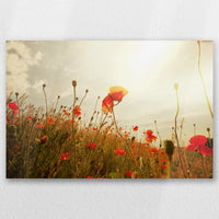 AC-060W040
