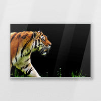 PS-120W080