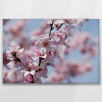 LW-075W050